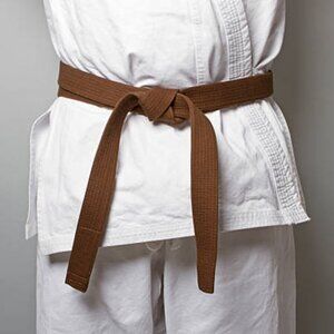 vintage martial art karate taekwondo judo Jiu Jitsu training brown belt